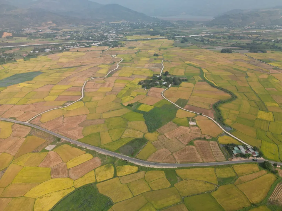 Kho gạo của Nguyễn Thị Anh Đào